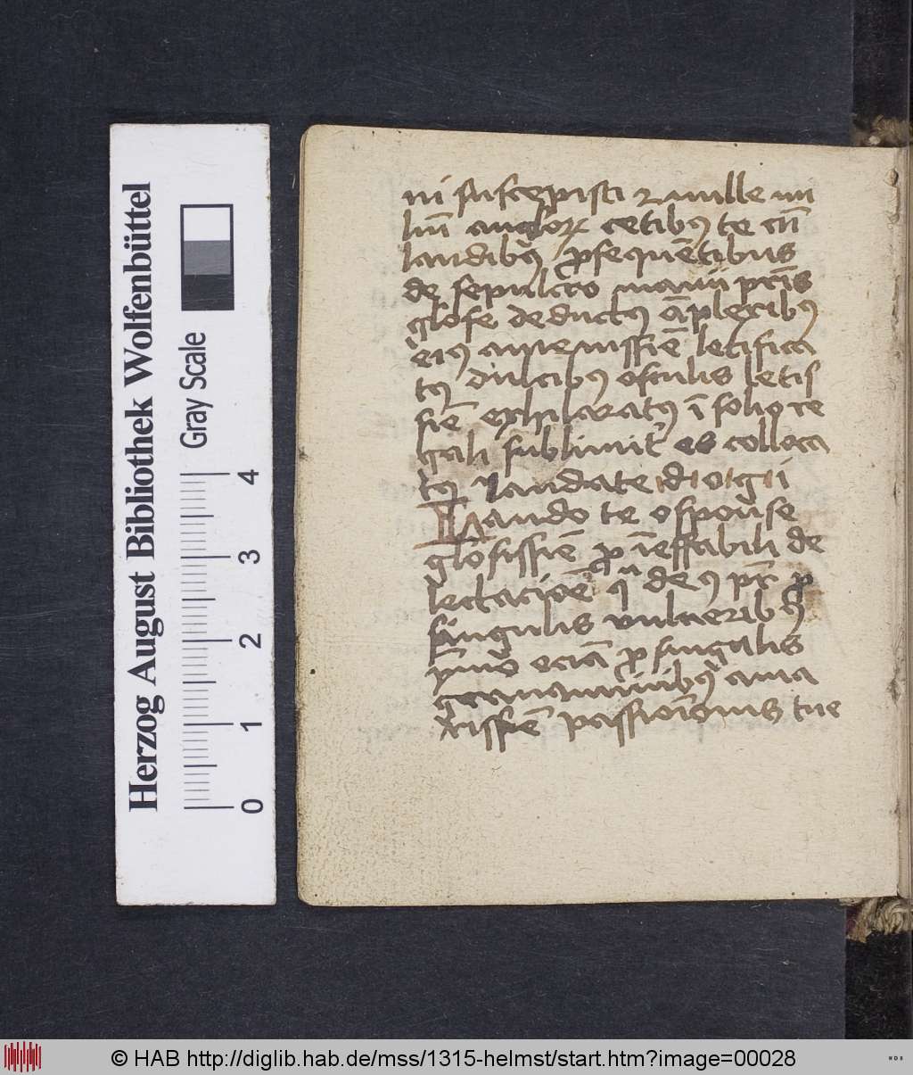 http://diglib.hab.de/mss/1315-helmst/00028.jpg