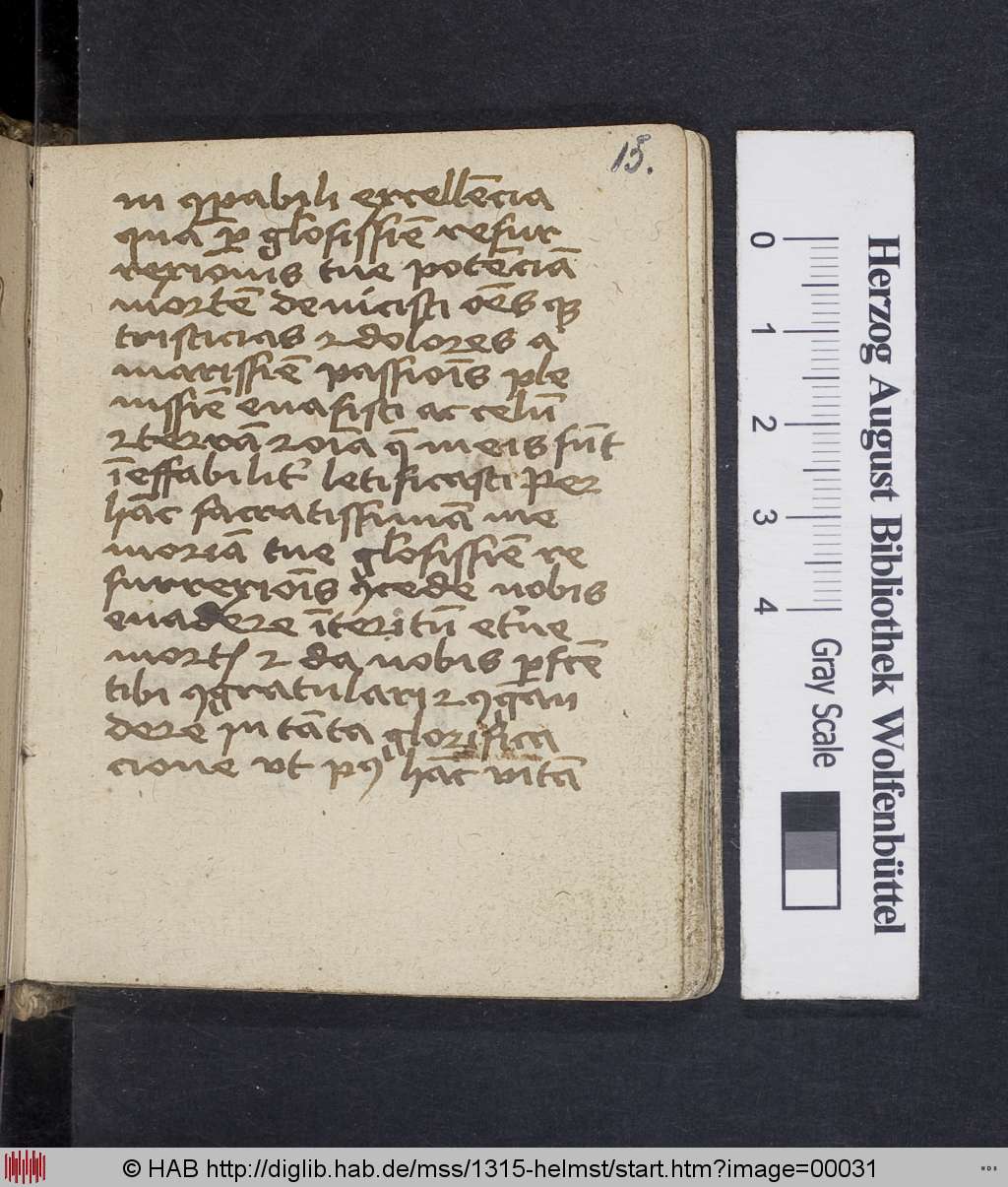 http://diglib.hab.de/mss/1315-helmst/00031.jpg