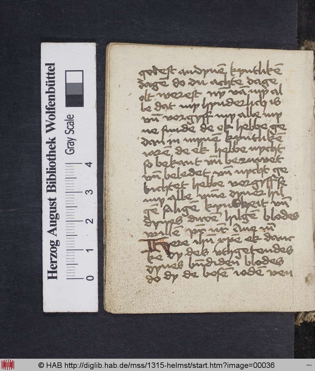 http://diglib.hab.de/mss/1315-helmst/00036.jpg