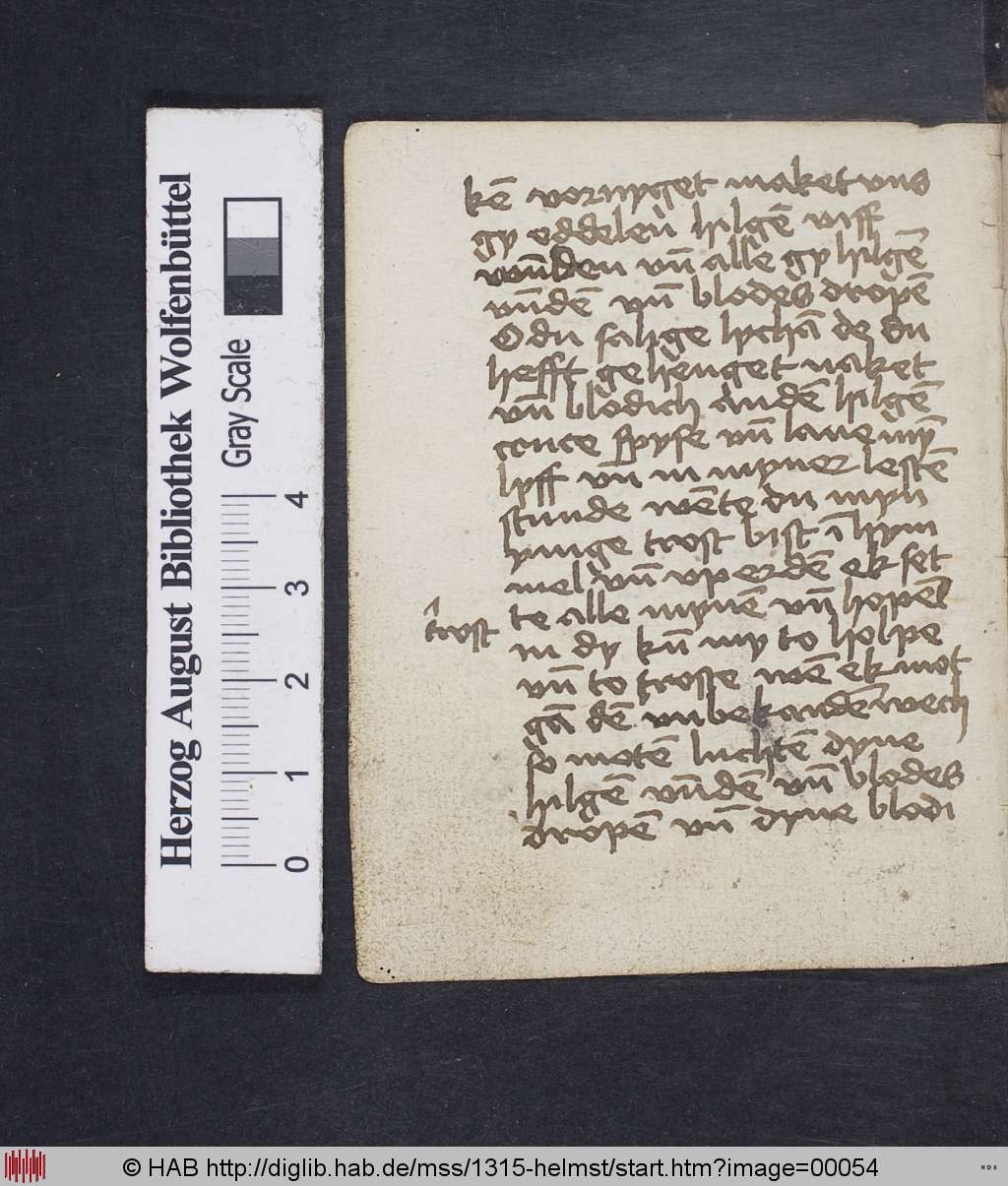 http://diglib.hab.de/mss/1315-helmst/00054.jpg