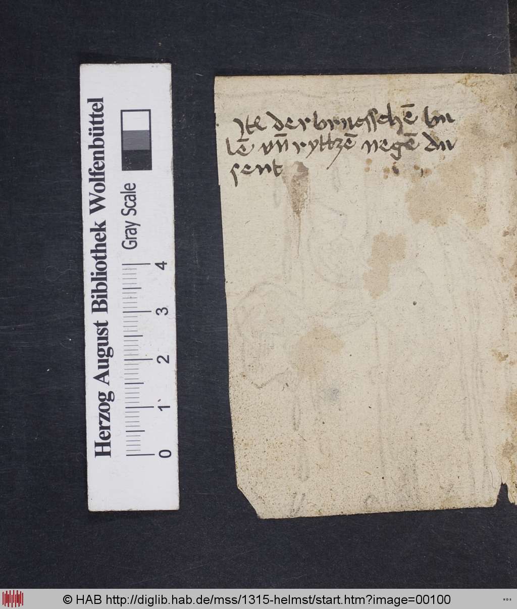 http://diglib.hab.de/mss/1315-helmst/00100.jpg