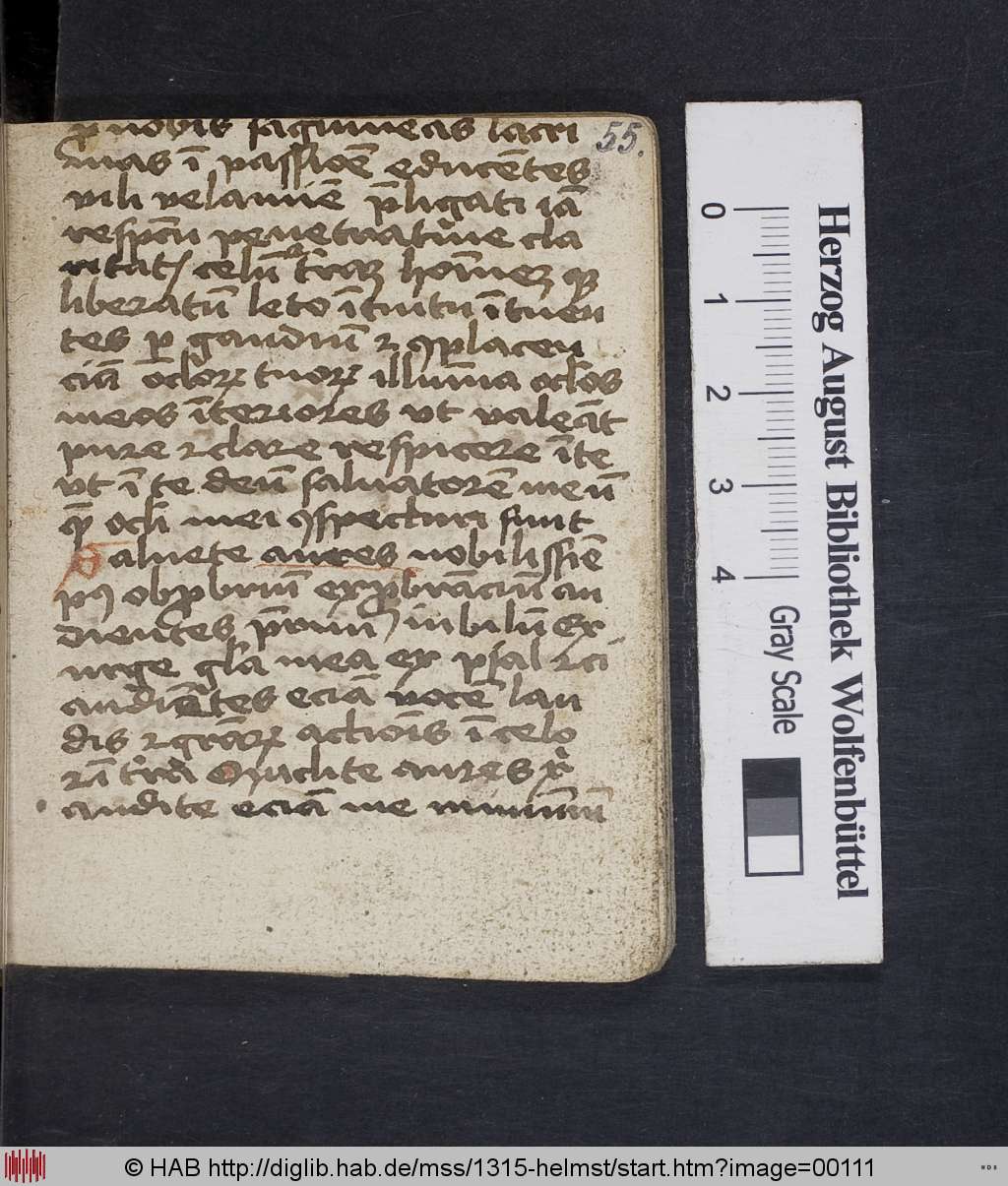 http://diglib.hab.de/mss/1315-helmst/00111.jpg