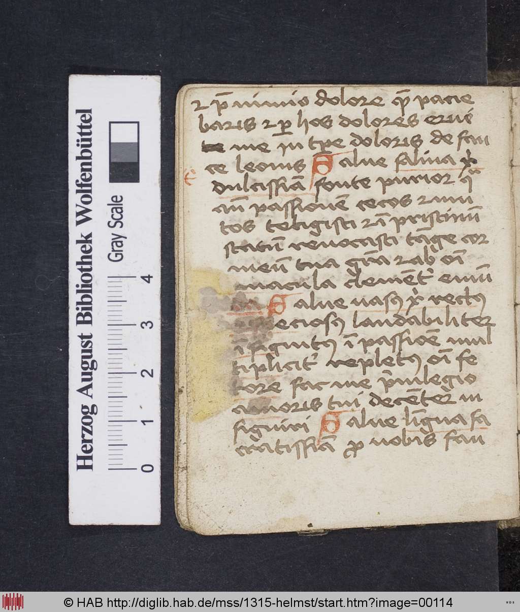 http://diglib.hab.de/mss/1315-helmst/00114.jpg