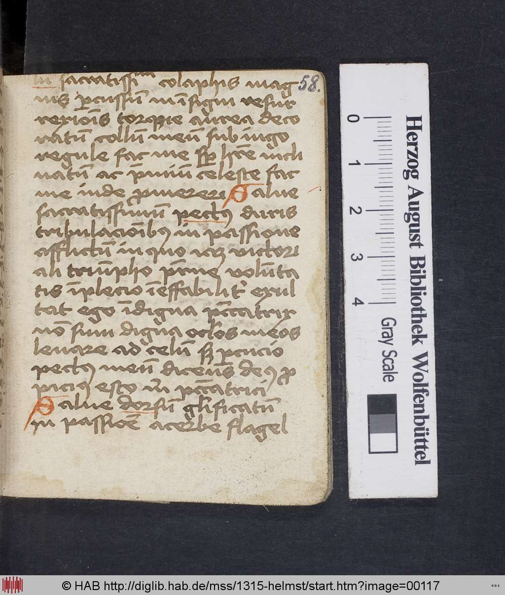 http://diglib.hab.de/mss/1315-helmst/00117.jpg