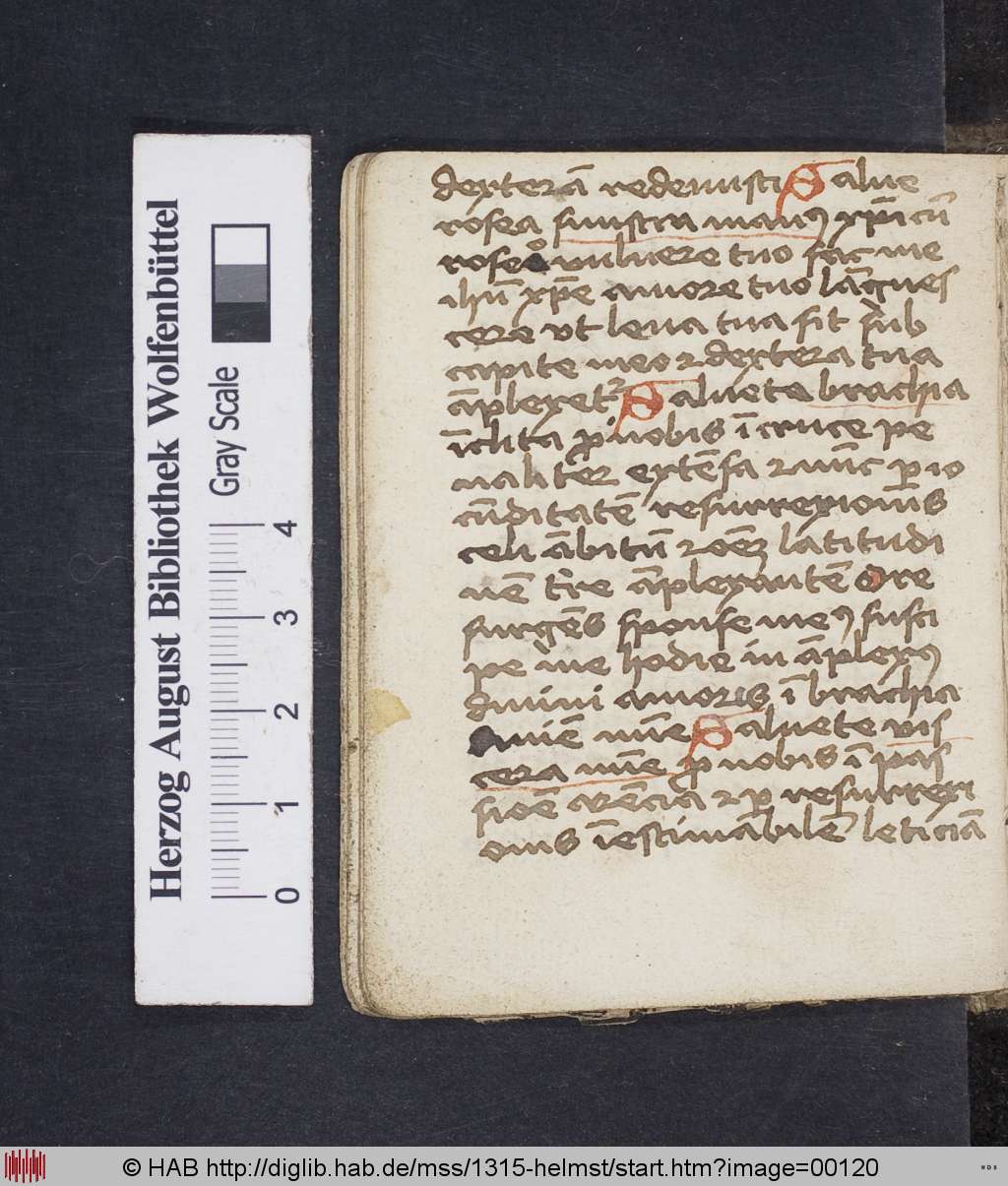 http://diglib.hab.de/mss/1315-helmst/00120.jpg