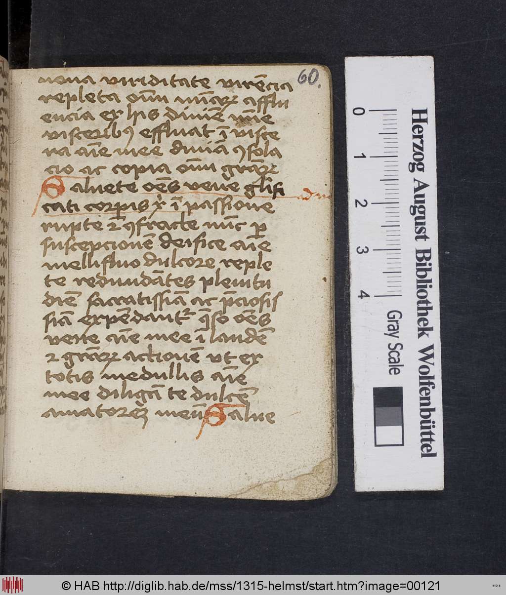 http://diglib.hab.de/mss/1315-helmst/00121.jpg