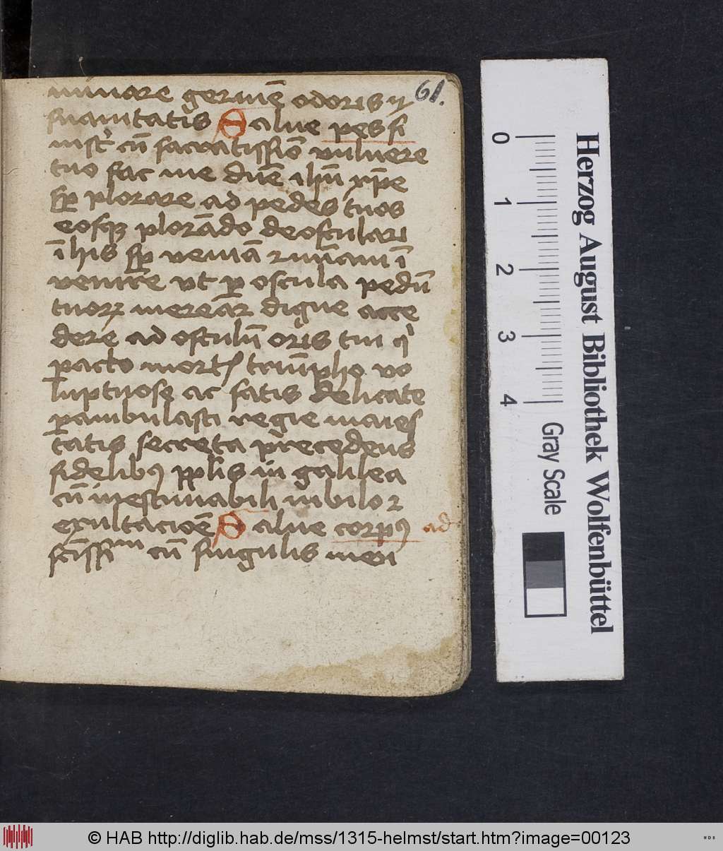 http://diglib.hab.de/mss/1315-helmst/00123.jpg