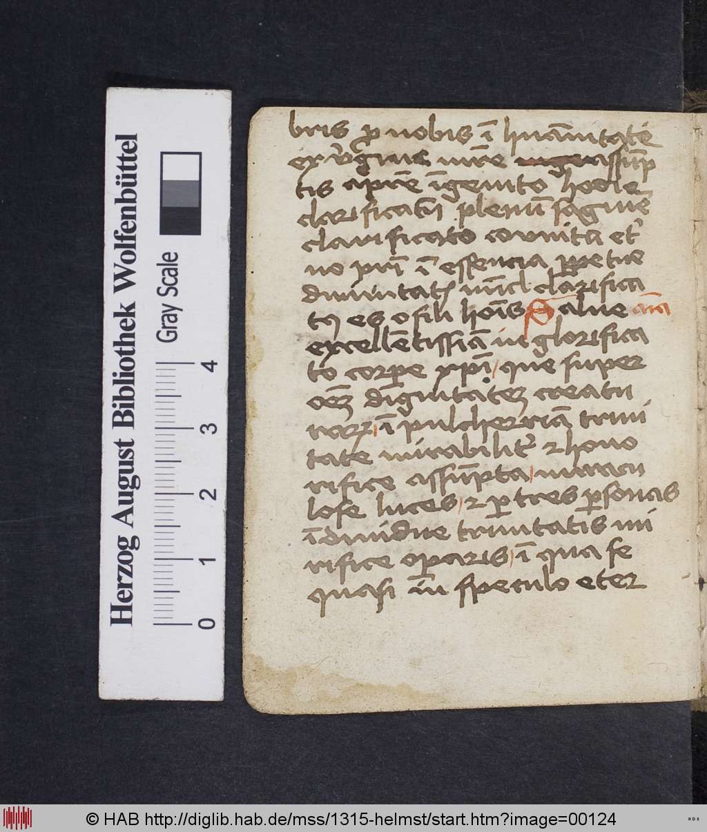 http://diglib.hab.de/mss/1315-helmst/00124.jpg