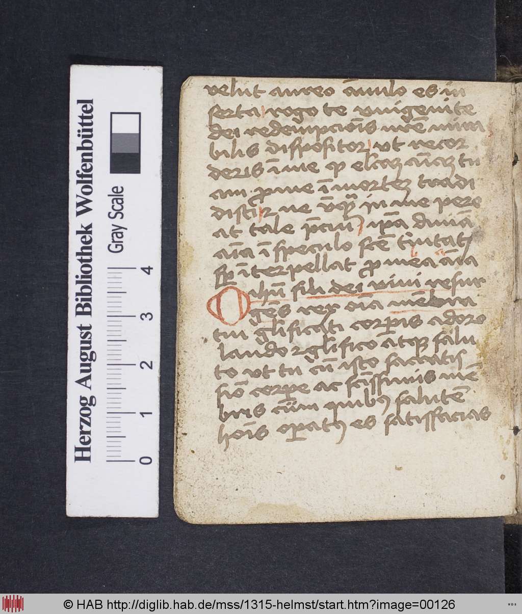 http://diglib.hab.de/mss/1315-helmst/00126.jpg