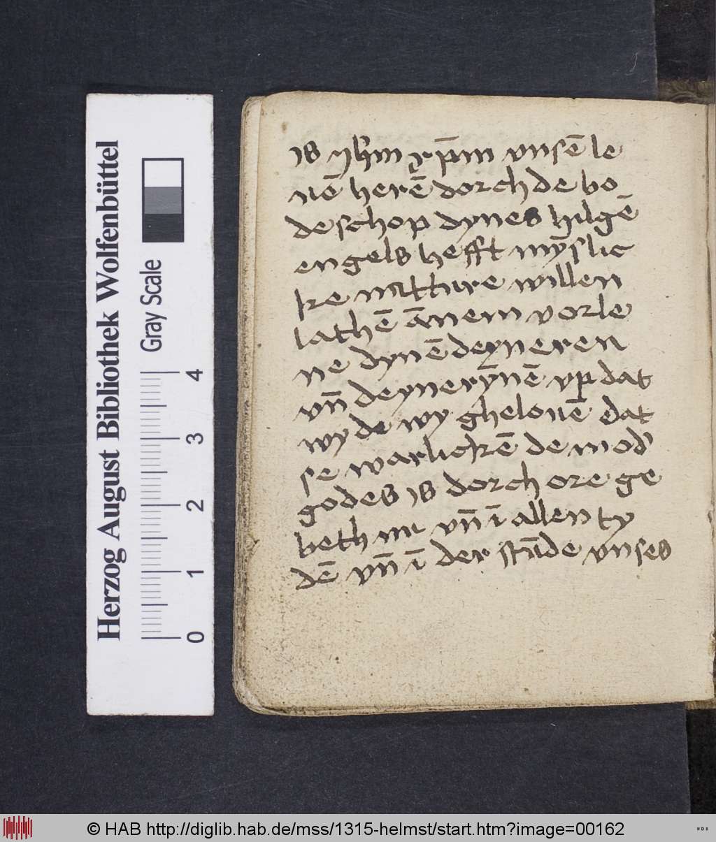 http://diglib.hab.de/mss/1315-helmst/00162.jpg
