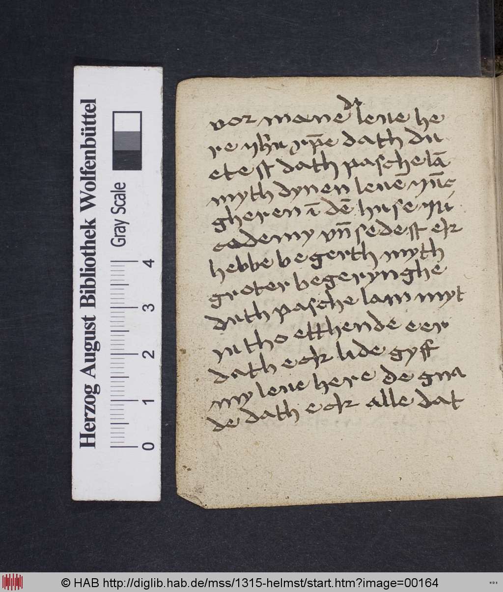http://diglib.hab.de/mss/1315-helmst/00164.jpg
