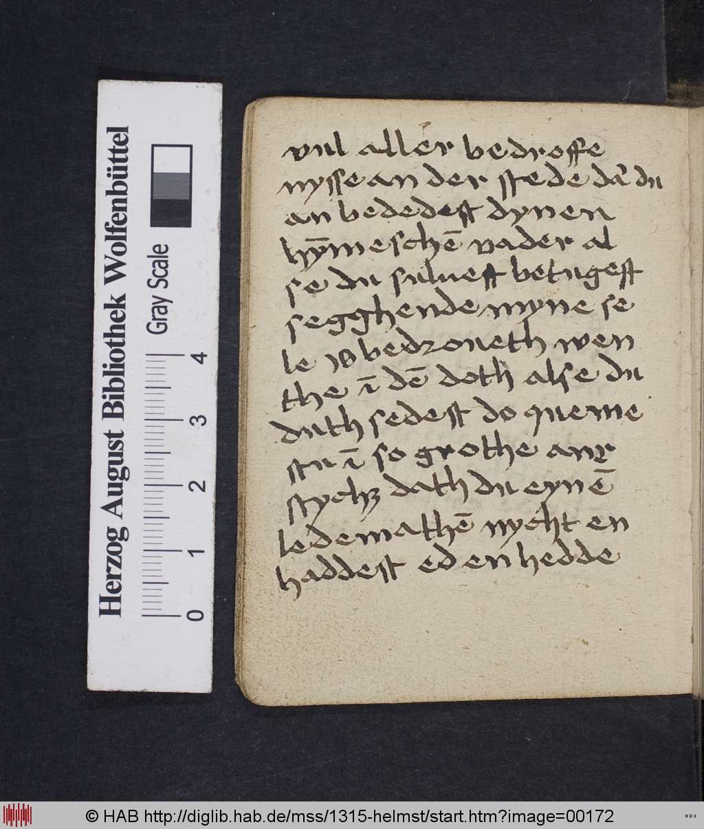 http://diglib.hab.de/mss/1315-helmst/00172.jpg