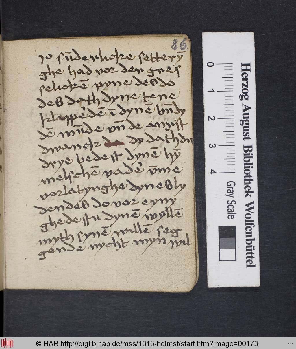 http://diglib.hab.de/mss/1315-helmst/00173.jpg