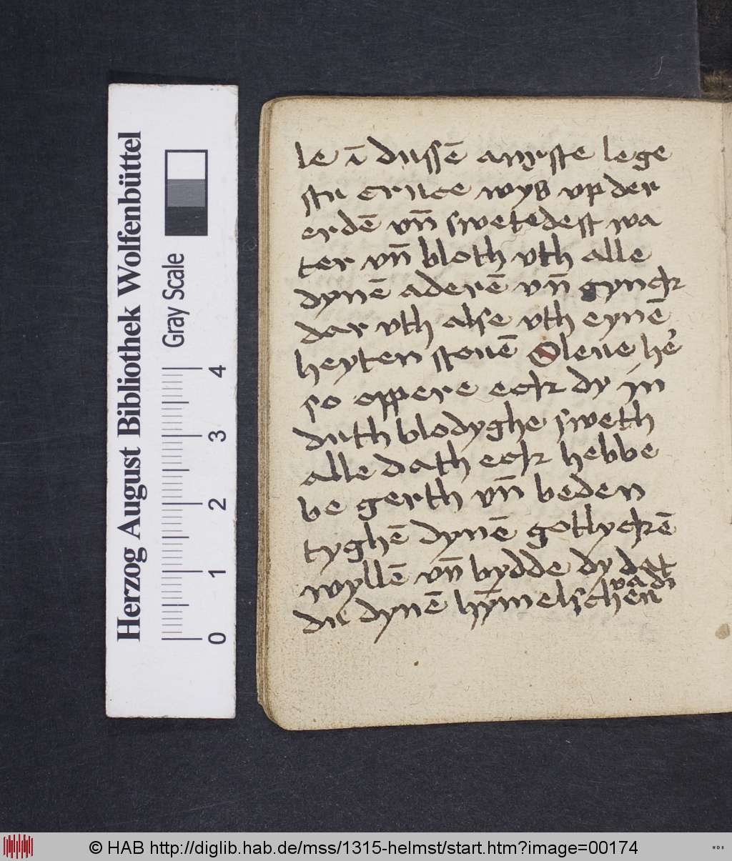 http://diglib.hab.de/mss/1315-helmst/00174.jpg