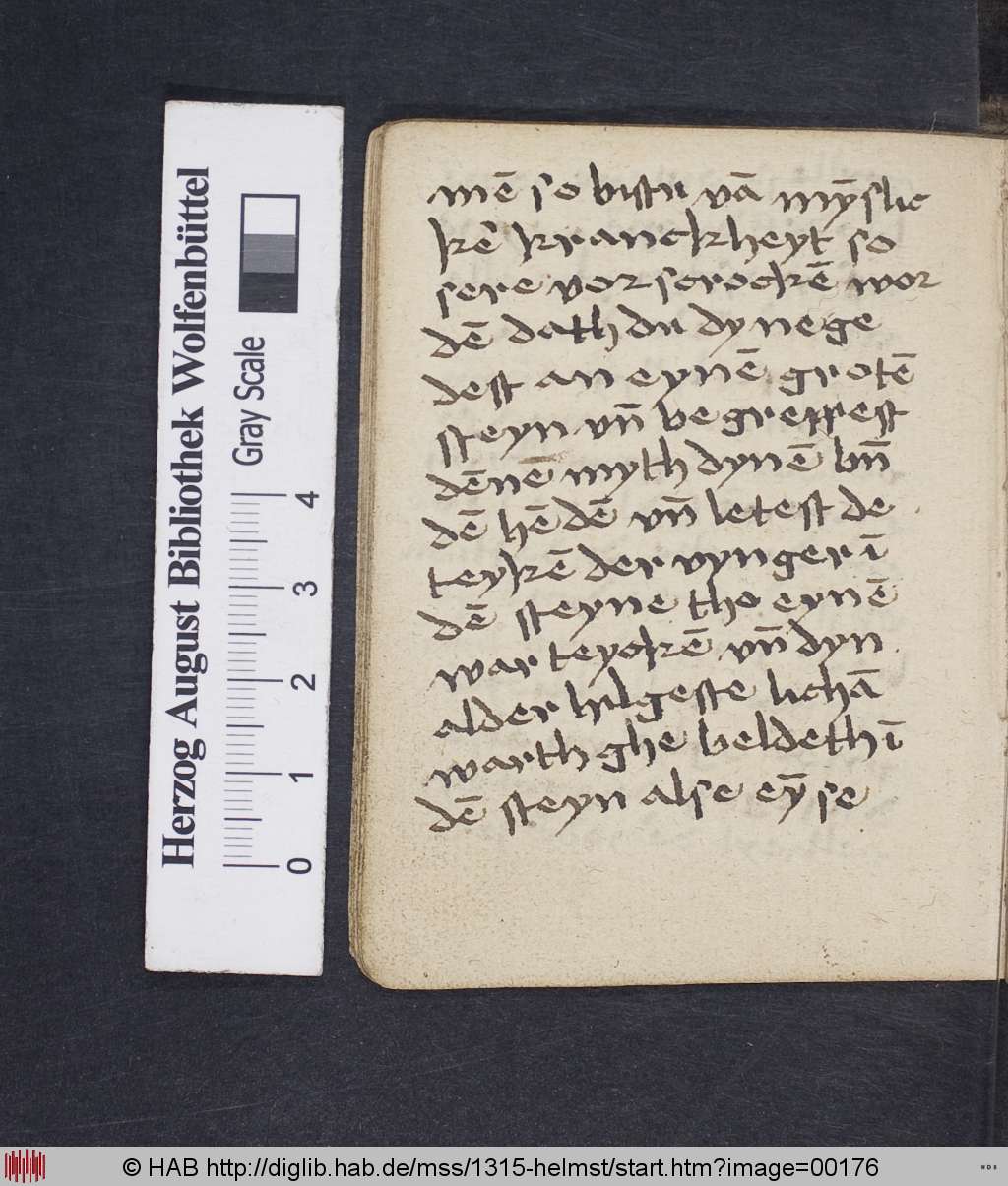 http://diglib.hab.de/mss/1315-helmst/00176.jpg