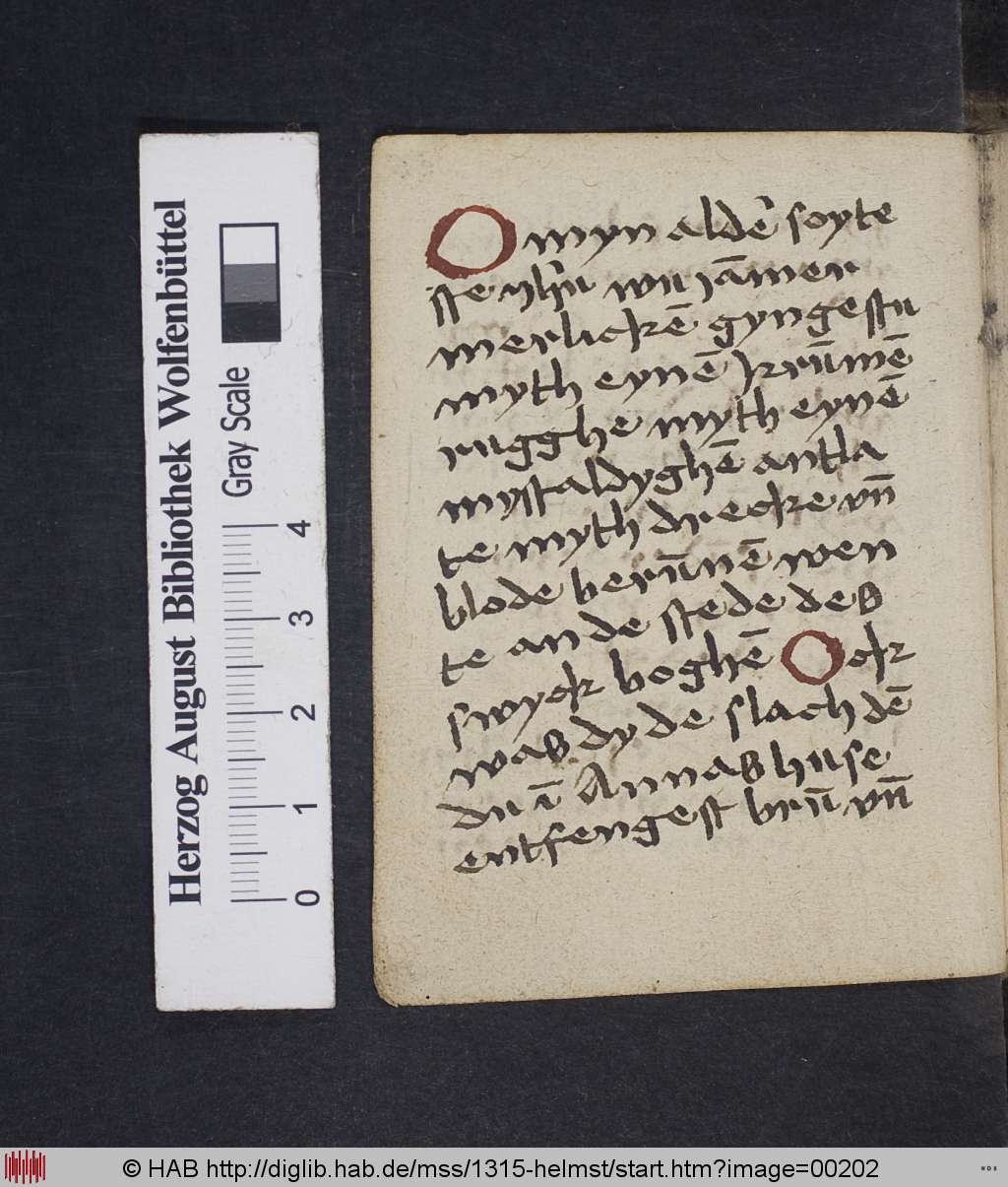 http://diglib.hab.de/mss/1315-helmst/00202.jpg