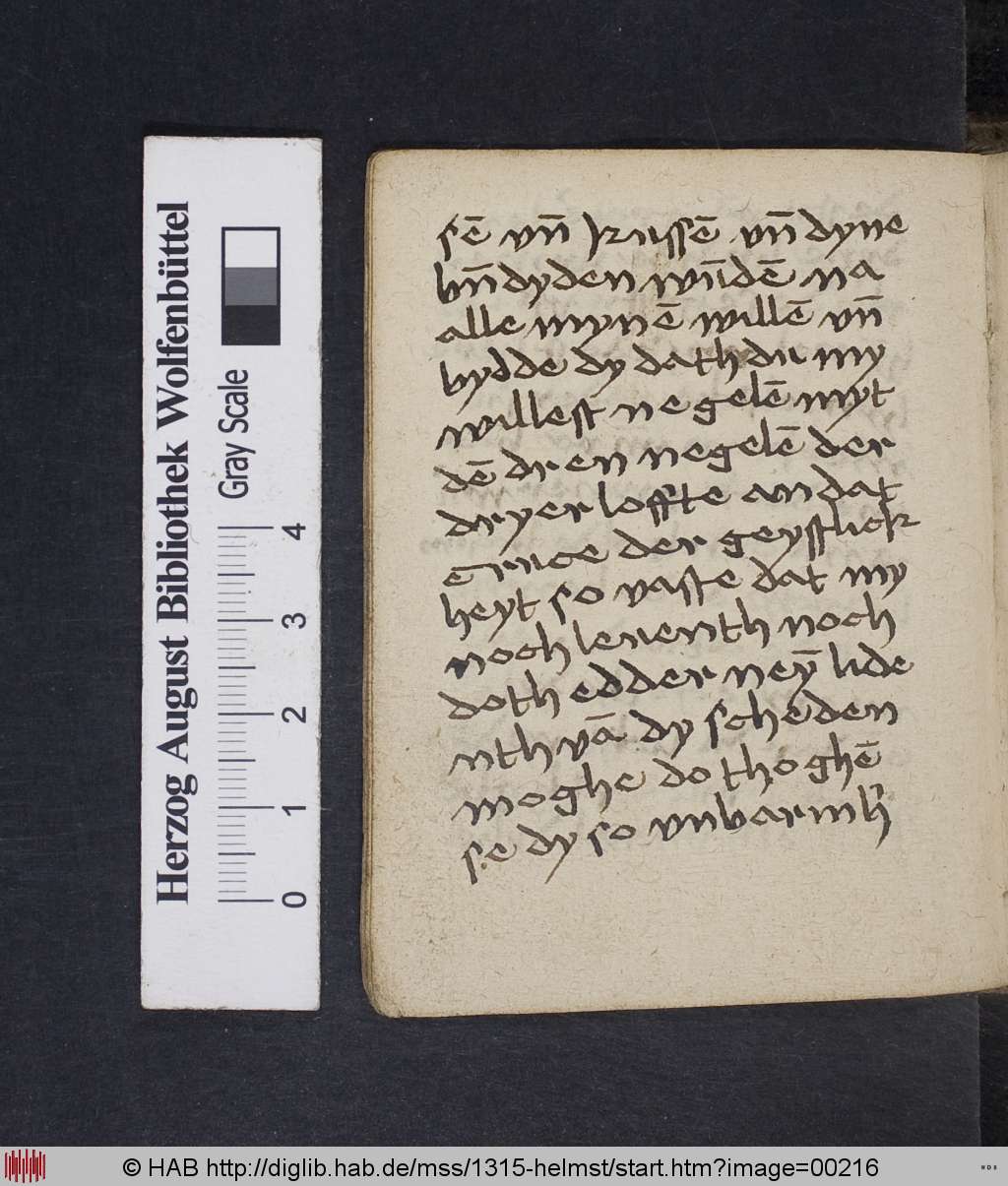 http://diglib.hab.de/mss/1315-helmst/00216.jpg