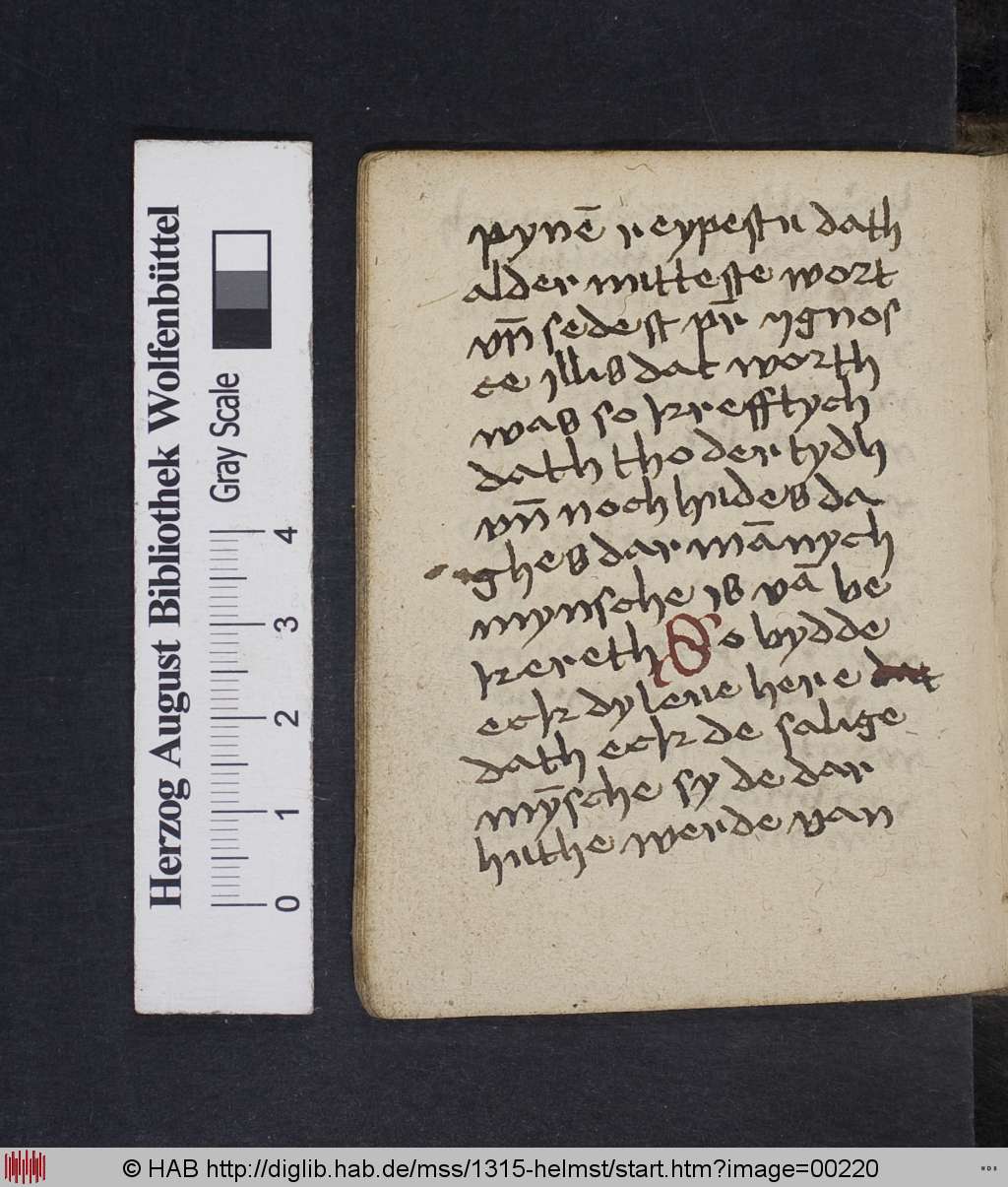 http://diglib.hab.de/mss/1315-helmst/00220.jpg