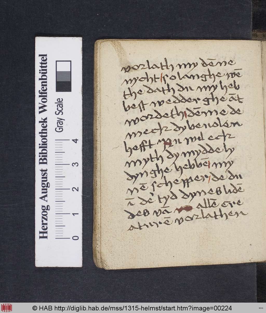 http://diglib.hab.de/mss/1315-helmst/00224.jpg