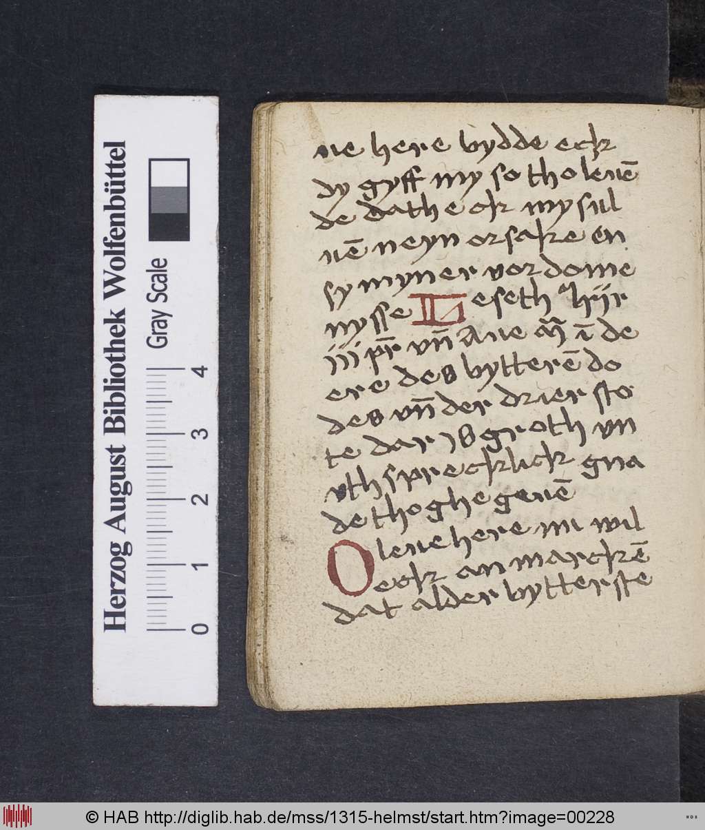 http://diglib.hab.de/mss/1315-helmst/00228.jpg