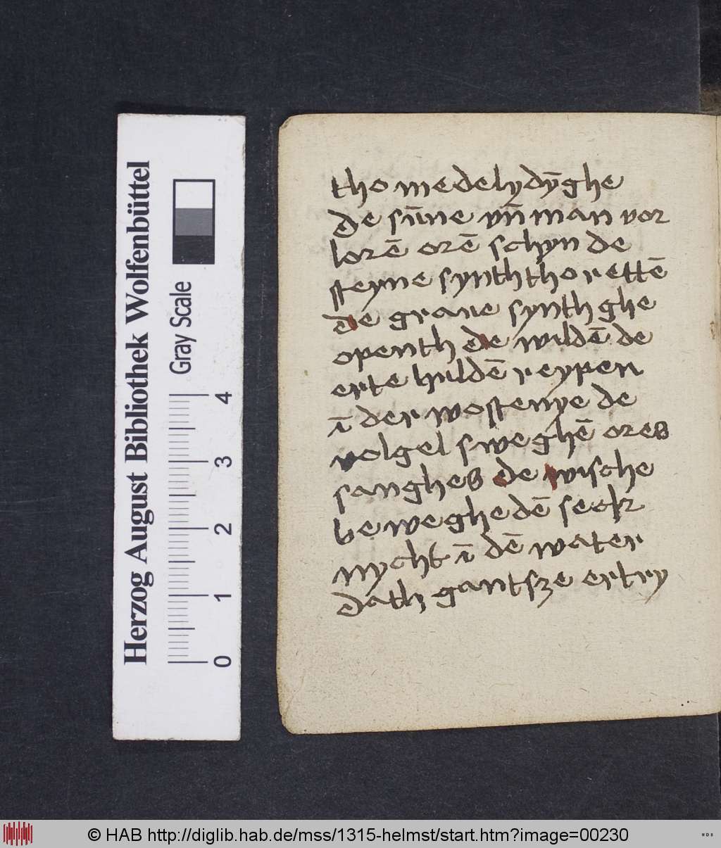 http://diglib.hab.de/mss/1315-helmst/00230.jpg