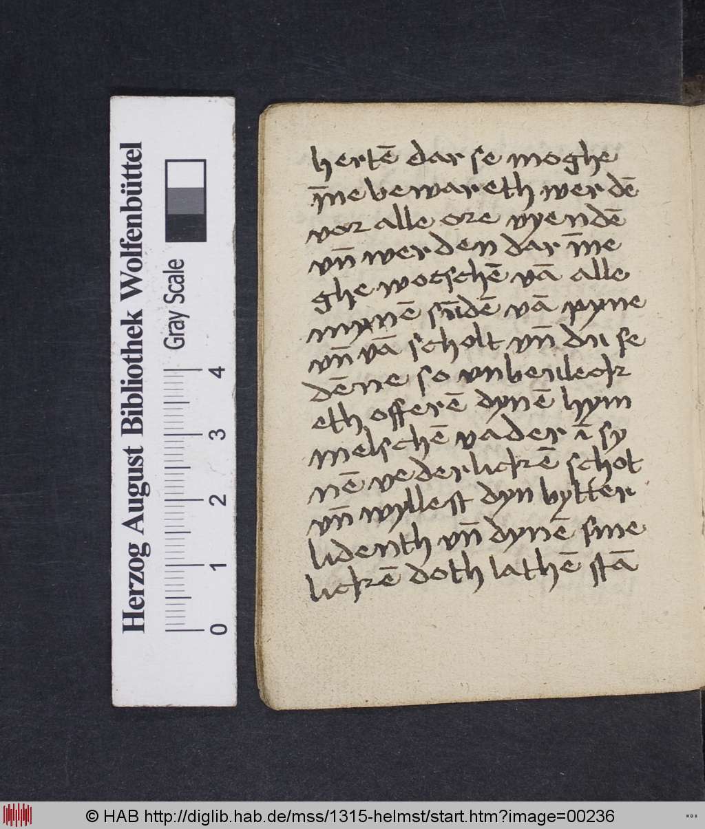 http://diglib.hab.de/mss/1315-helmst/00236.jpg