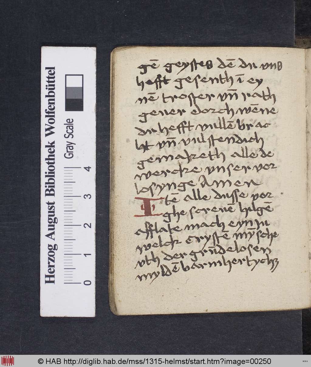 http://diglib.hab.de/mss/1315-helmst/00250.jpg