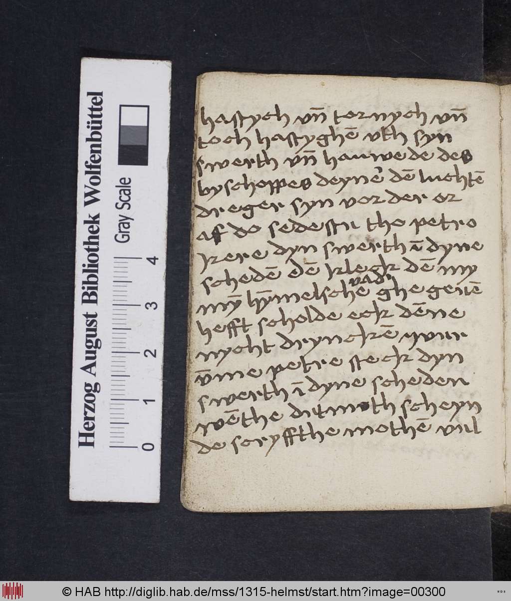http://diglib.hab.de/mss/1315-helmst/00300.jpg