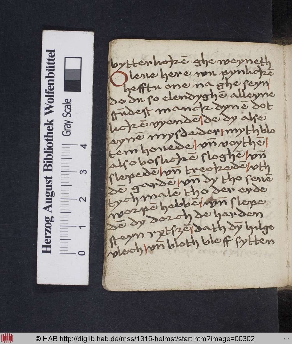 http://diglib.hab.de/mss/1315-helmst/00302.jpg