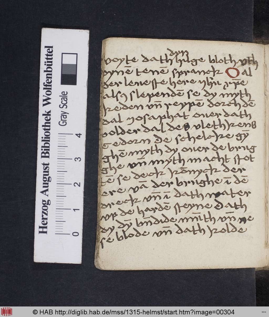 http://diglib.hab.de/mss/1315-helmst/00304.jpg