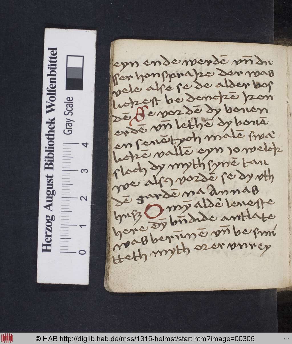 http://diglib.hab.de/mss/1315-helmst/00306.jpg