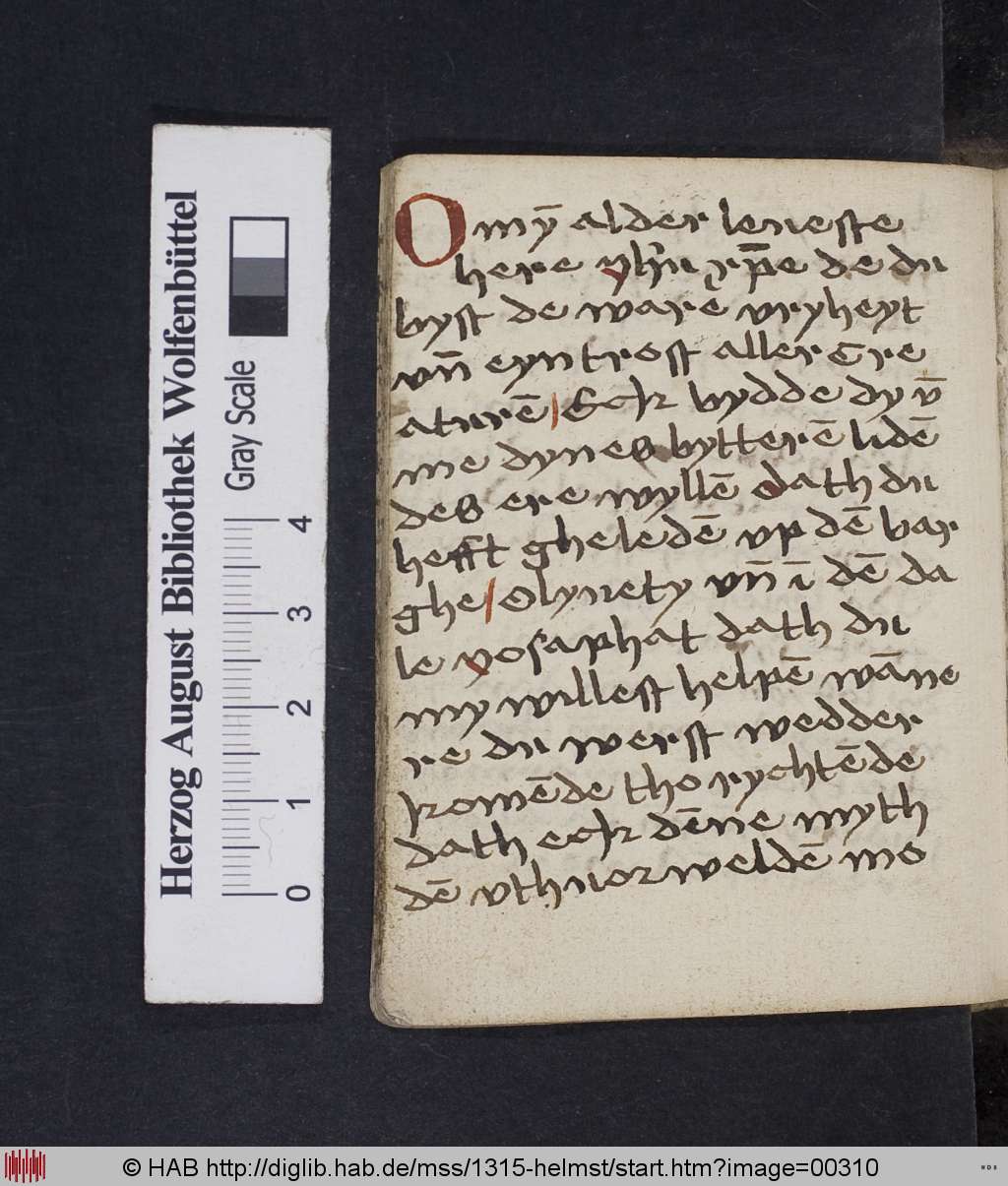 http://diglib.hab.de/mss/1315-helmst/00310.jpg