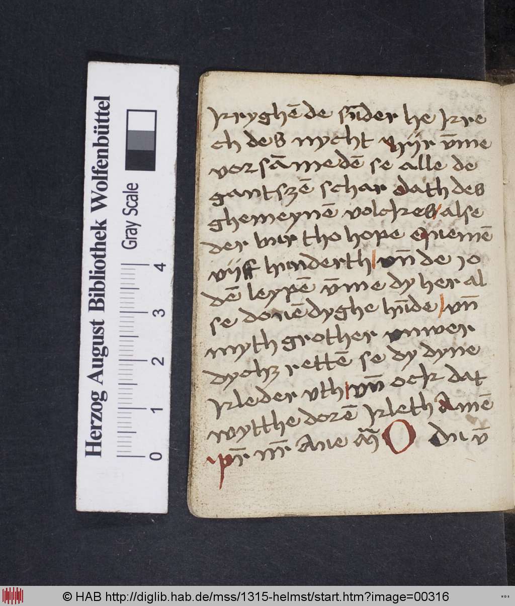 http://diglib.hab.de/mss/1315-helmst/00316.jpg