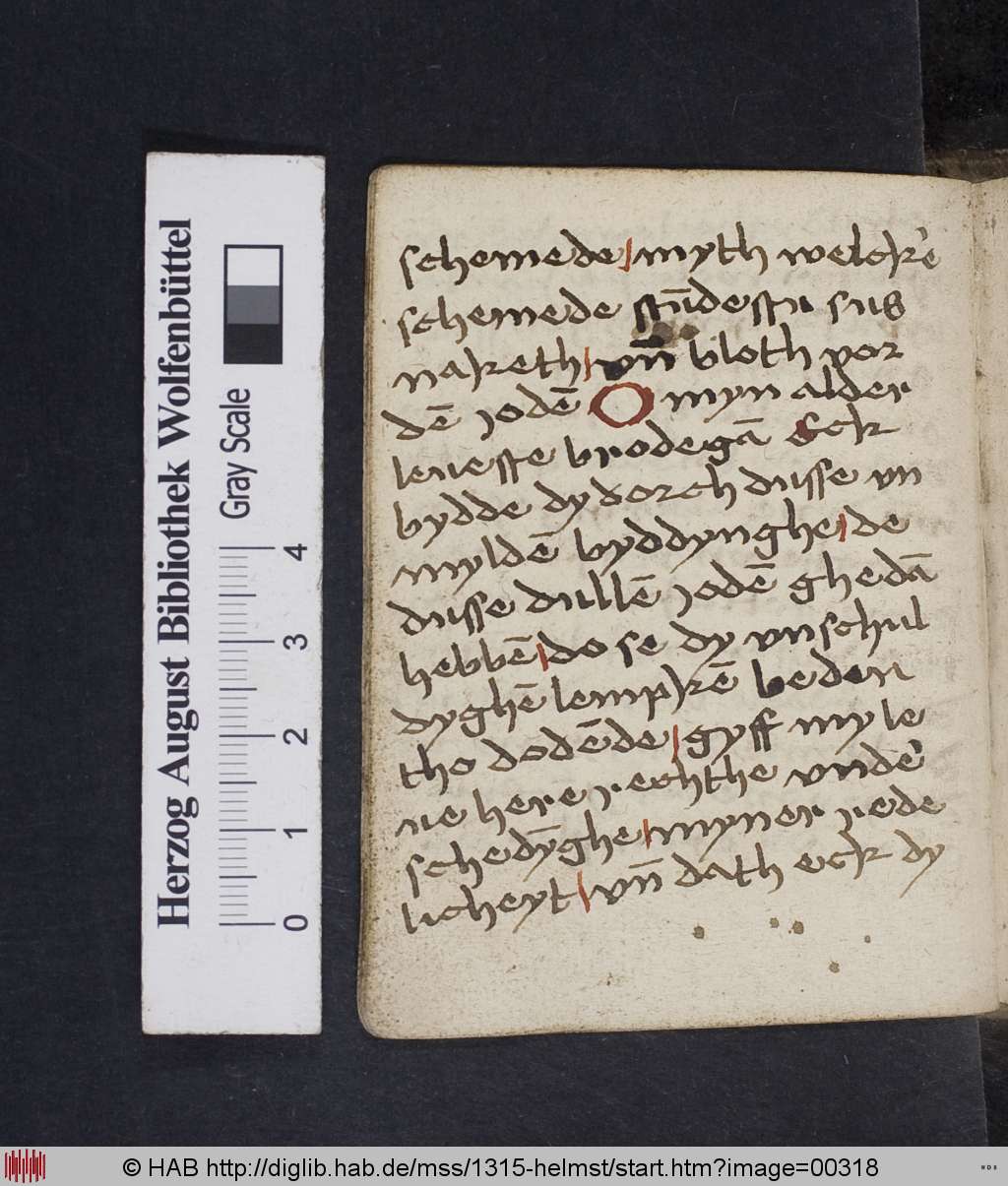 http://diglib.hab.de/mss/1315-helmst/00318.jpg