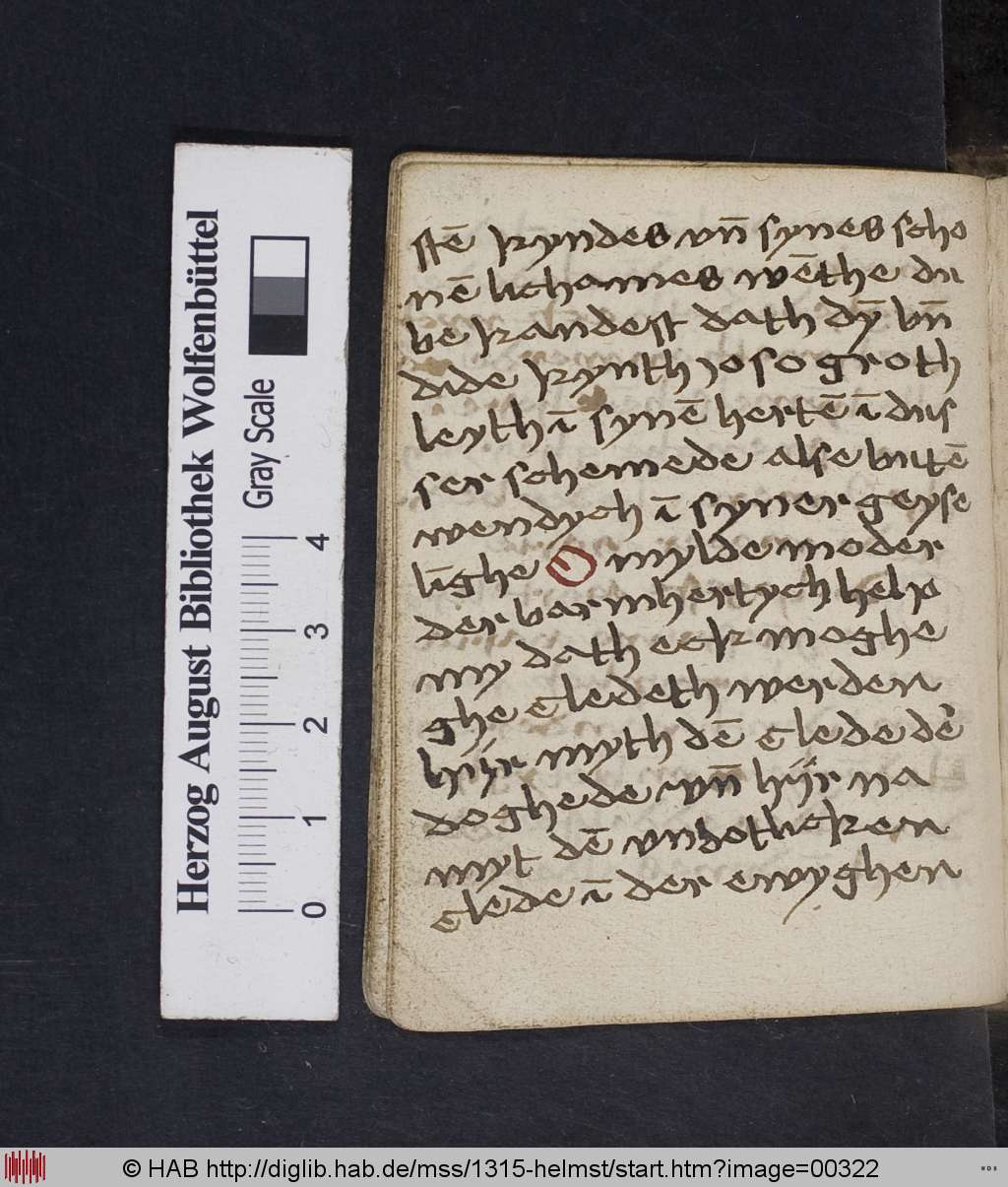 http://diglib.hab.de/mss/1315-helmst/00322.jpg
