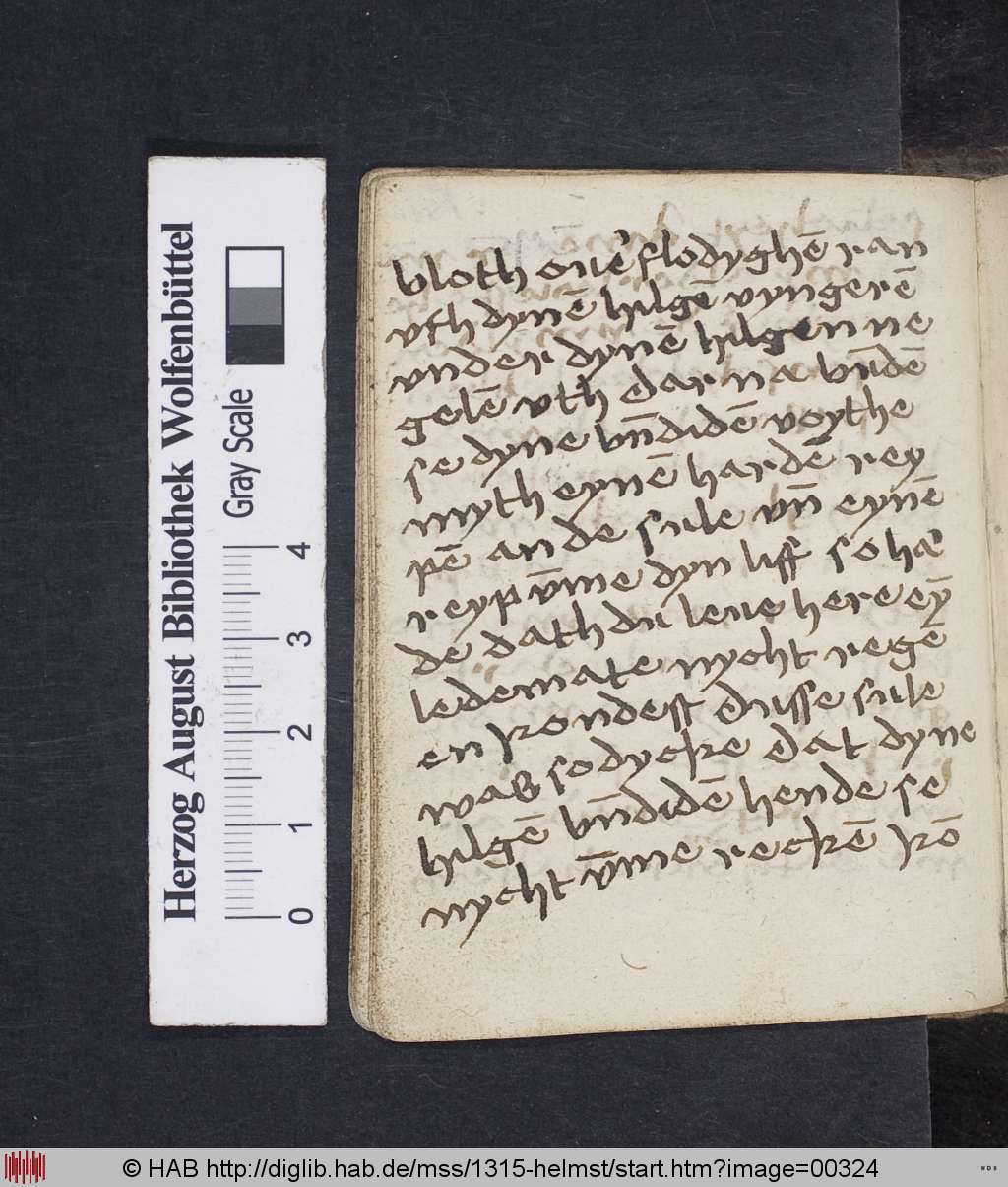 http://diglib.hab.de/mss/1315-helmst/00324.jpg