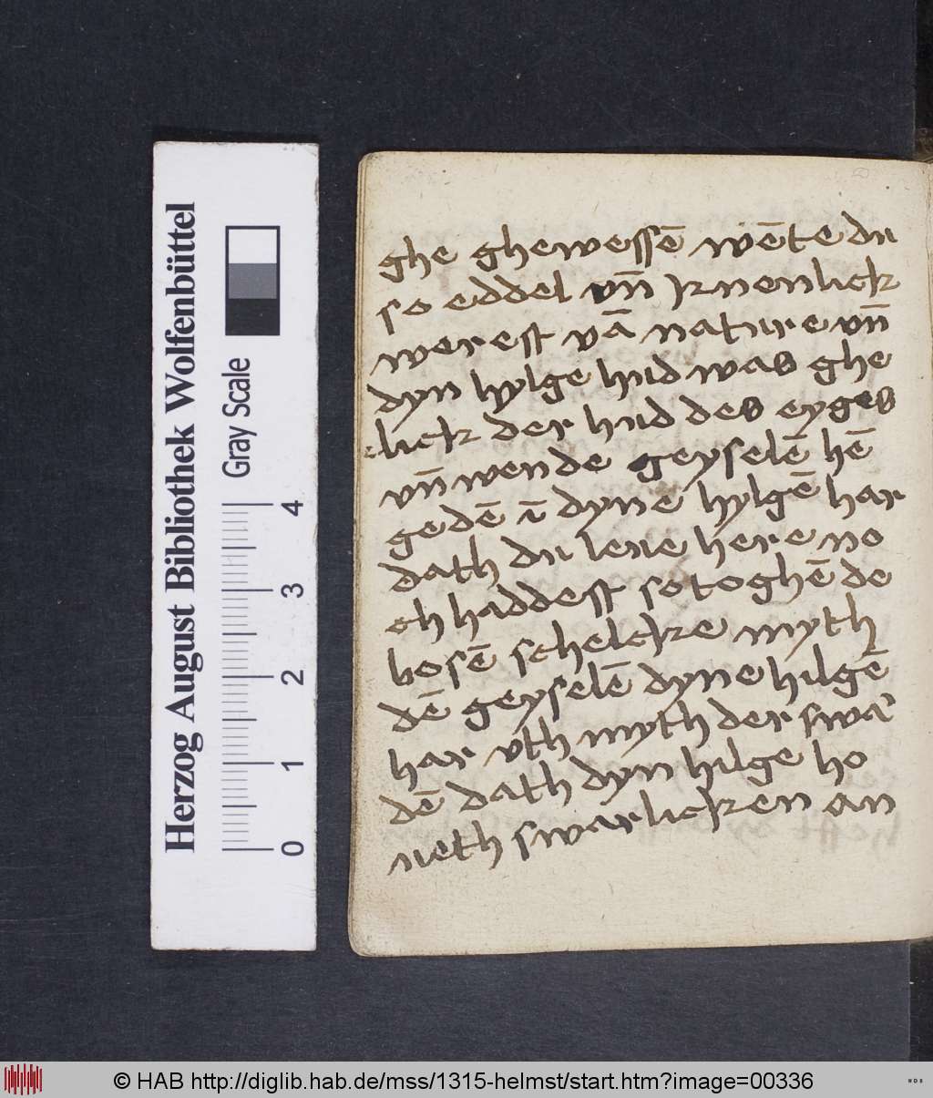 http://diglib.hab.de/mss/1315-helmst/00336.jpg