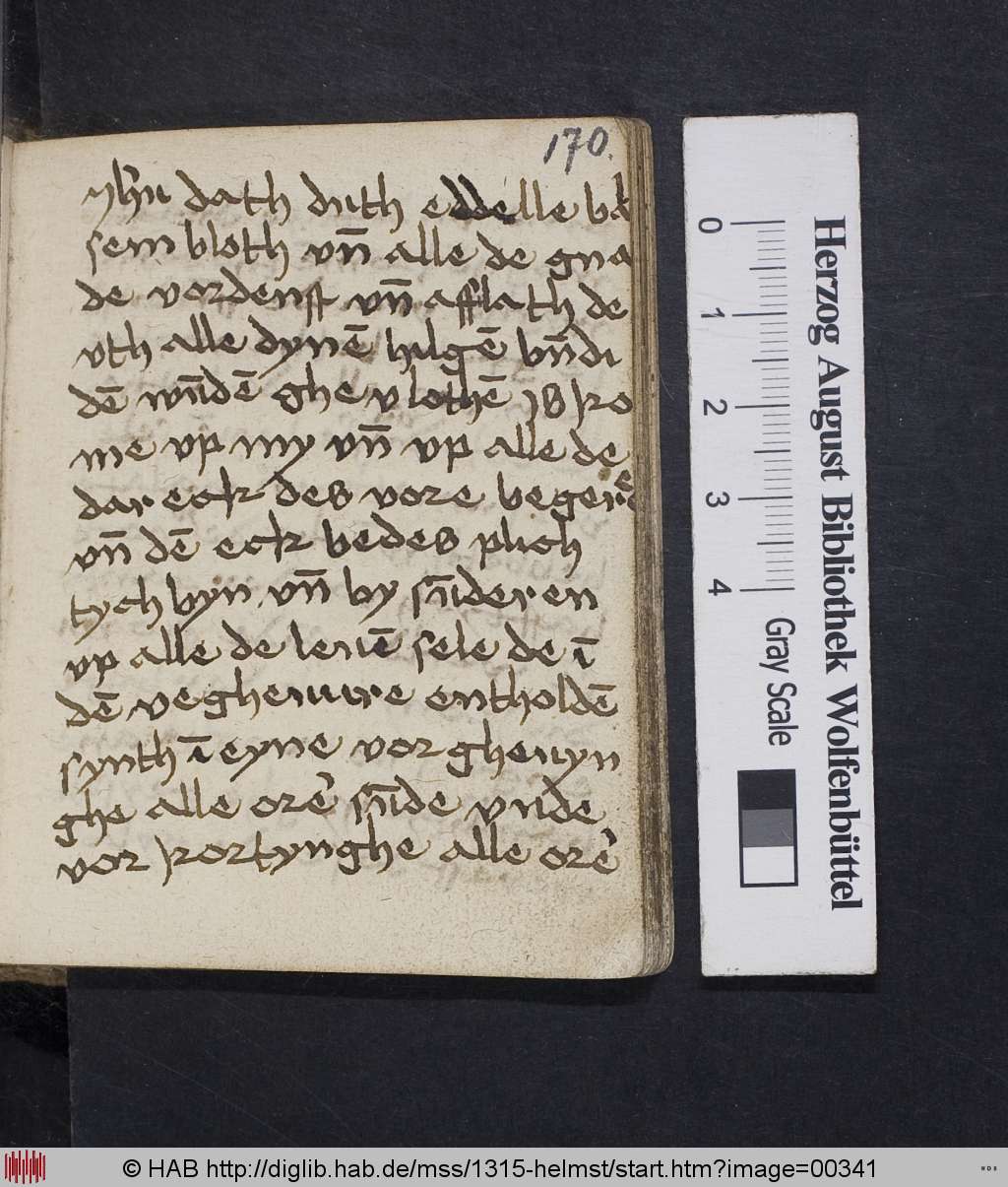 http://diglib.hab.de/mss/1315-helmst/00341.jpg