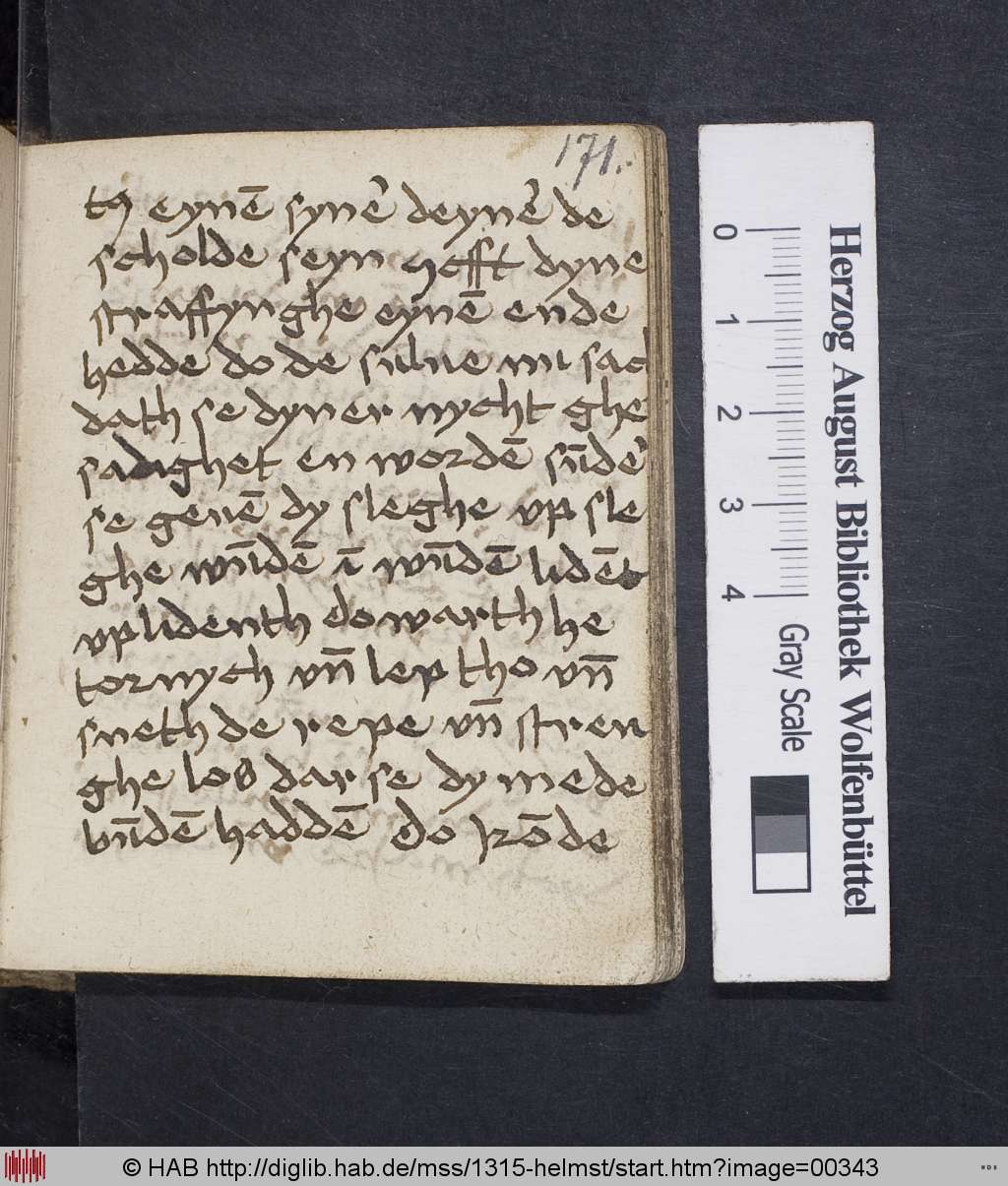 http://diglib.hab.de/mss/1315-helmst/00343.jpg
