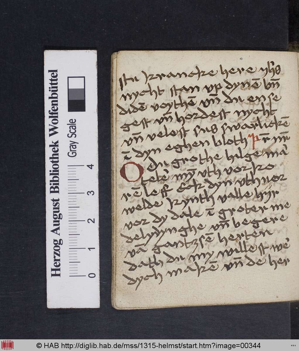 http://diglib.hab.de/mss/1315-helmst/00344.jpg