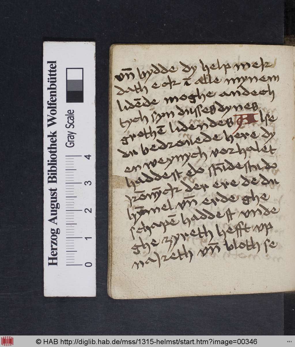 http://diglib.hab.de/mss/1315-helmst/00346.jpg