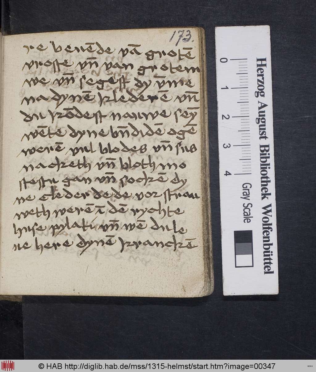 http://diglib.hab.de/mss/1315-helmst/00347.jpg