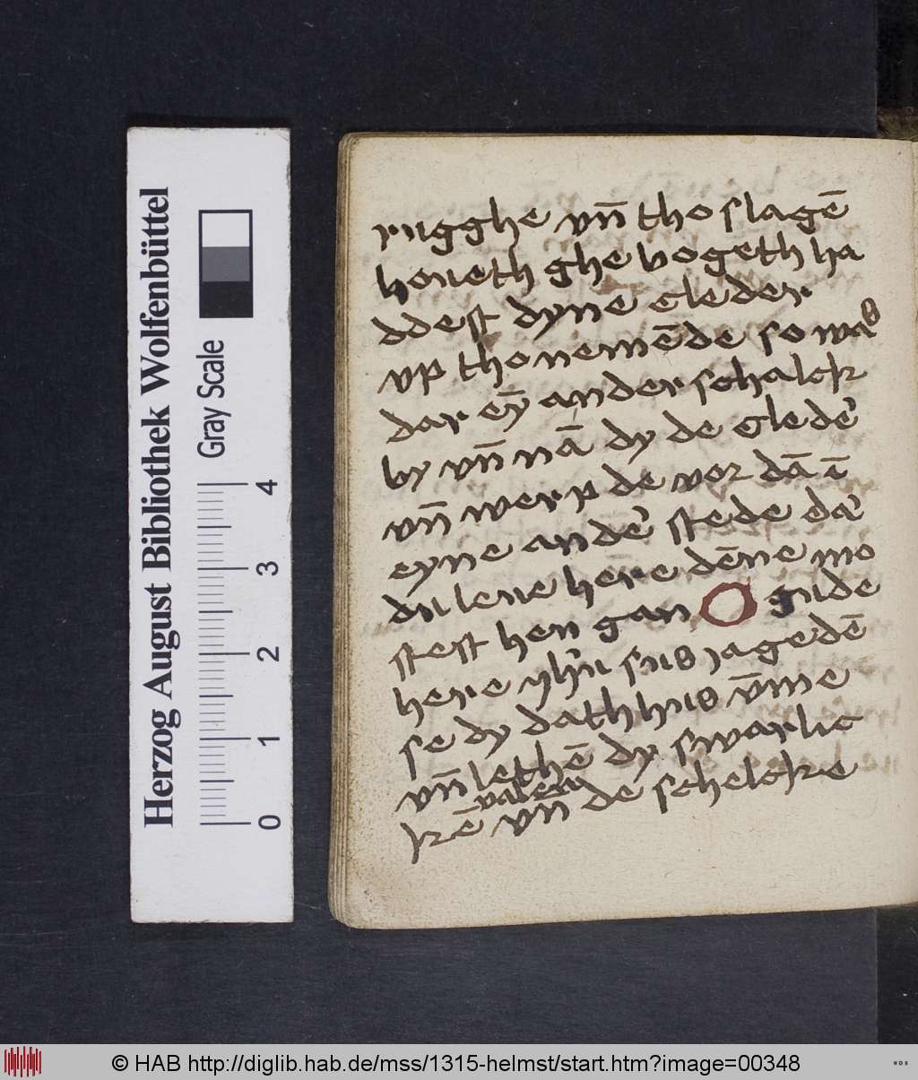 http://diglib.hab.de/mss/1315-helmst/00348.jpg