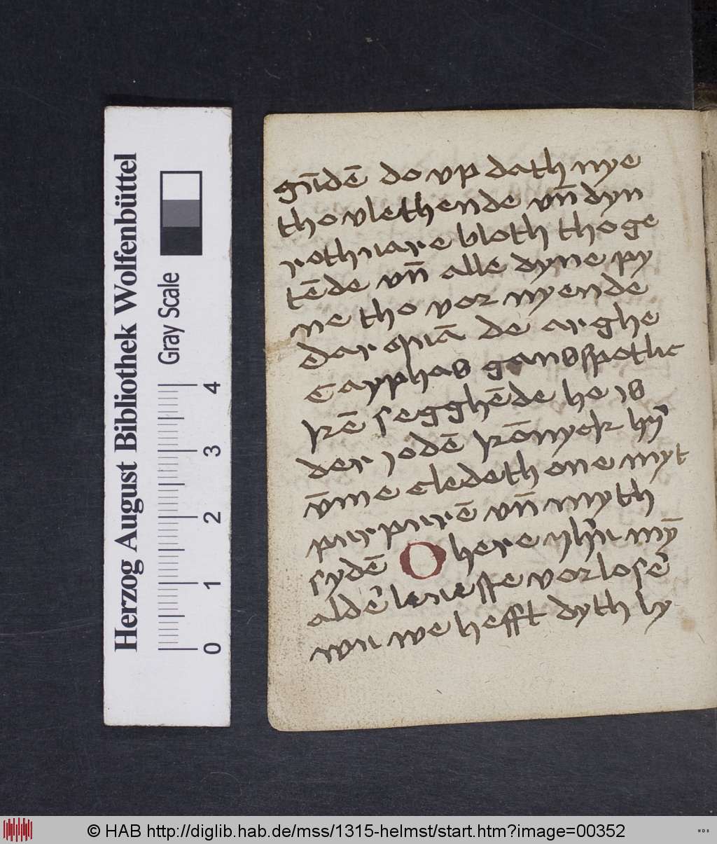 http://diglib.hab.de/mss/1315-helmst/00352.jpg