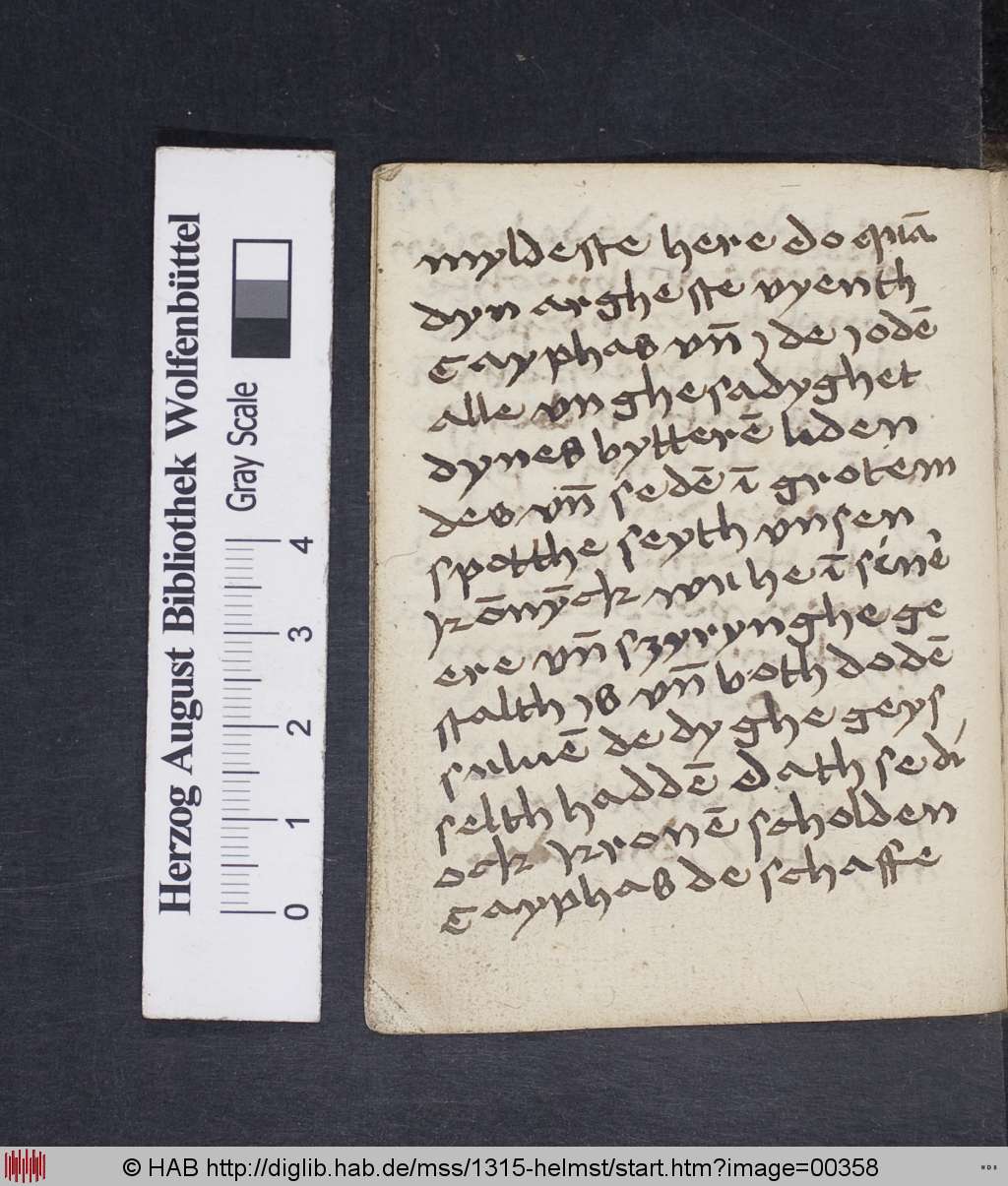 http://diglib.hab.de/mss/1315-helmst/00358.jpg
