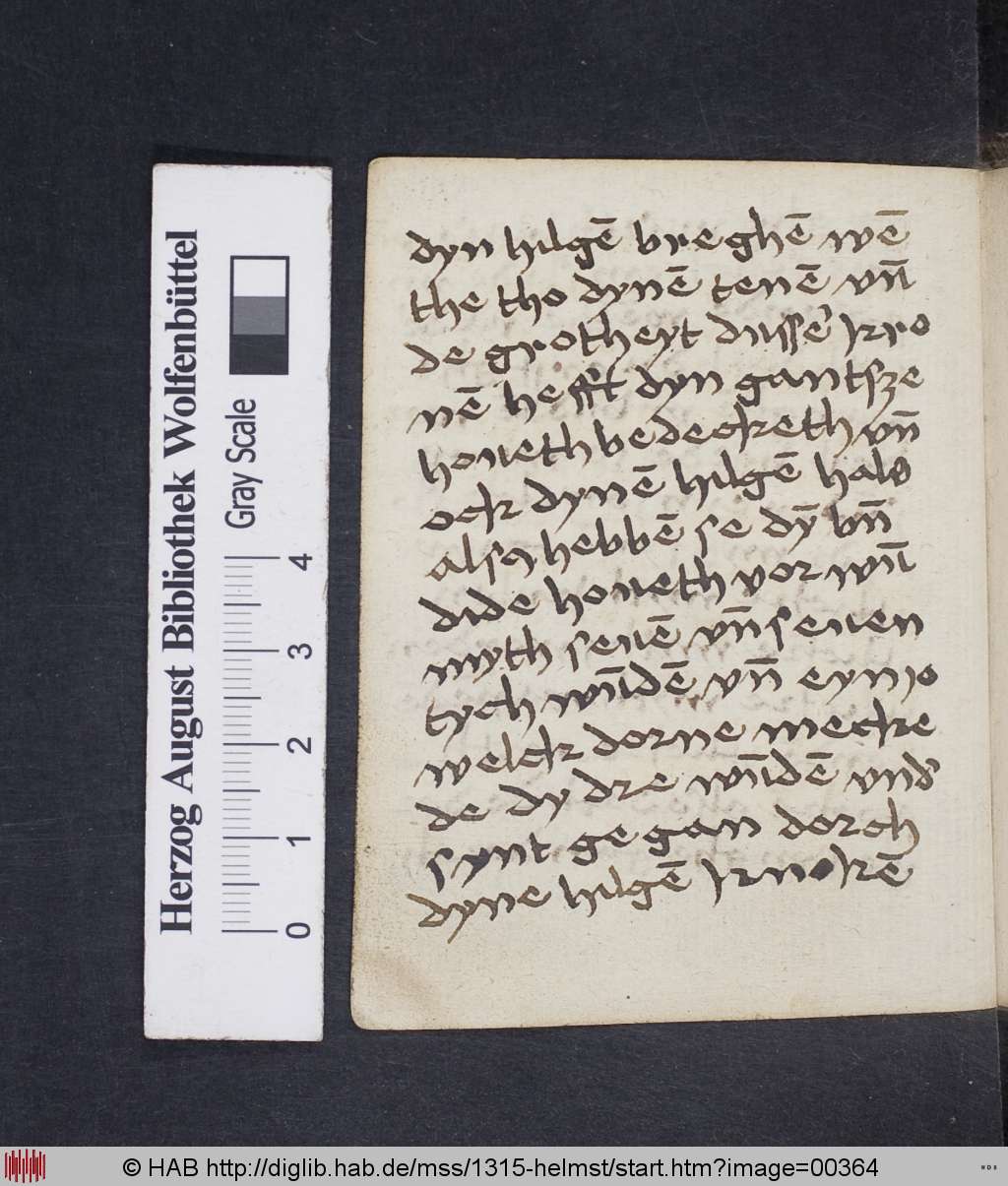http://diglib.hab.de/mss/1315-helmst/00364.jpg
