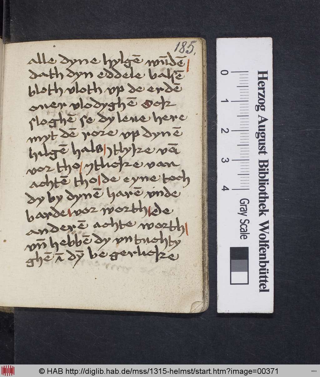 http://diglib.hab.de/mss/1315-helmst/00371.jpg