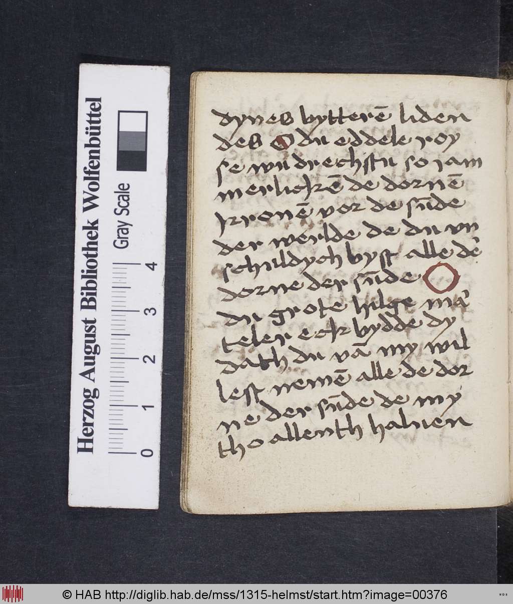 http://diglib.hab.de/mss/1315-helmst/00376.jpg
