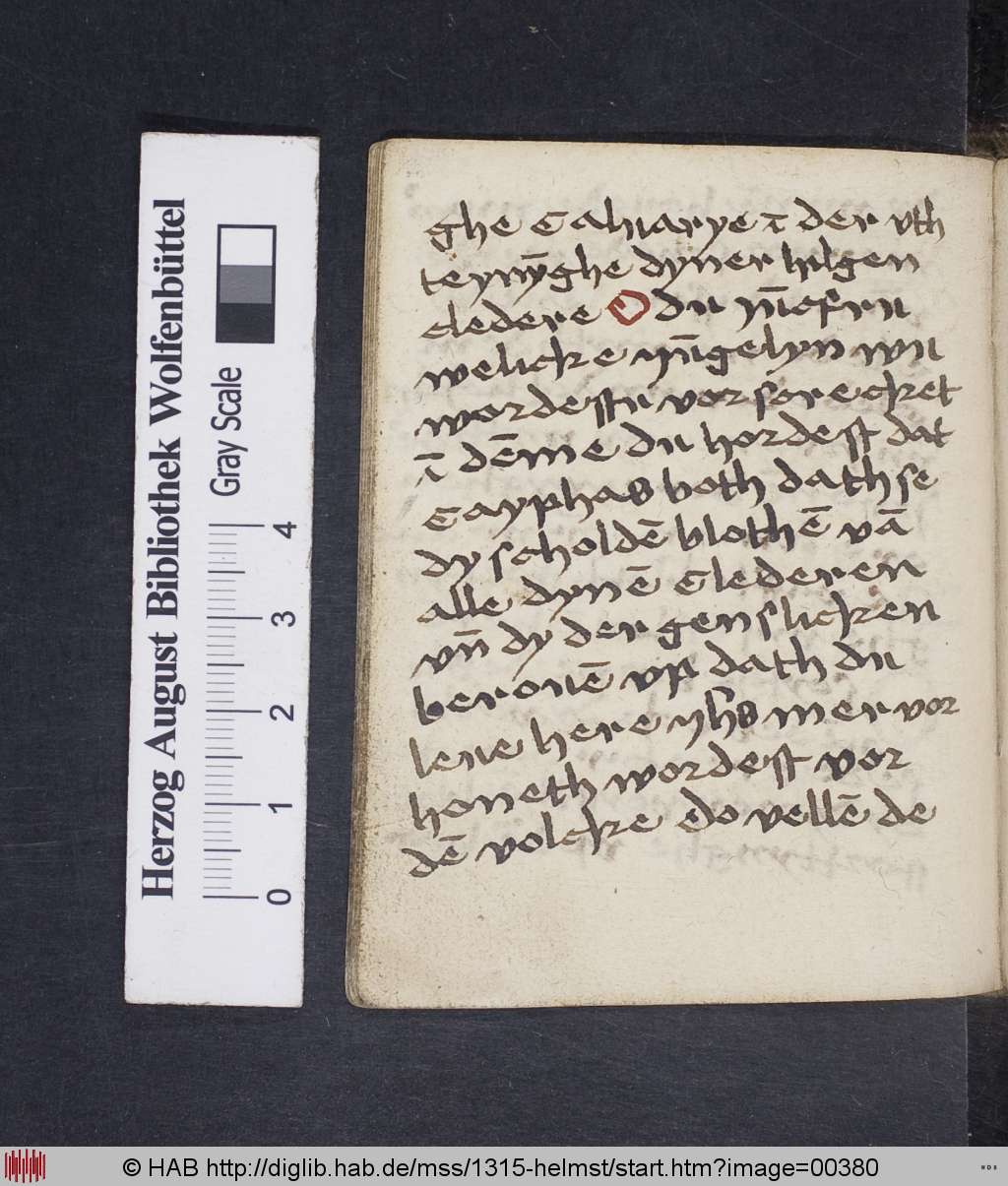 http://diglib.hab.de/mss/1315-helmst/00380.jpg