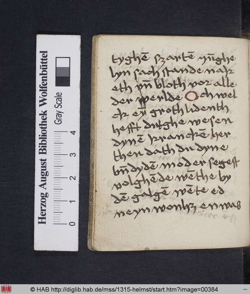 http://diglib.hab.de/mss/1315-helmst/00384.jpg